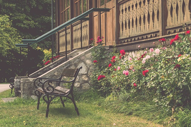 中国队也展 中国队也展