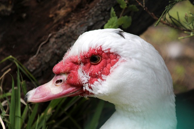 多次被提及 多次被提及