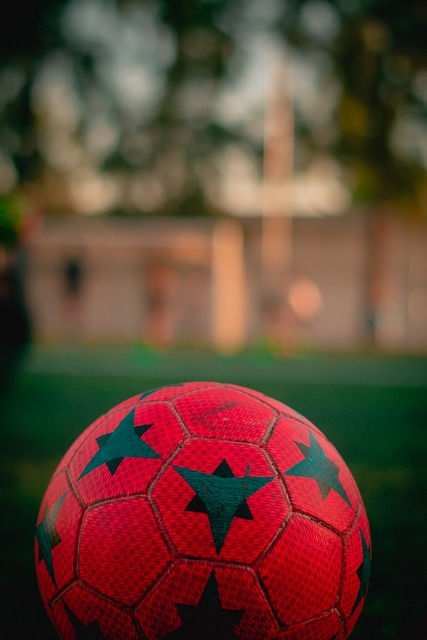 影响与展望 影响与展望