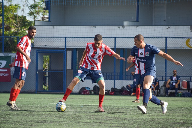 还需将自己 还需将自己