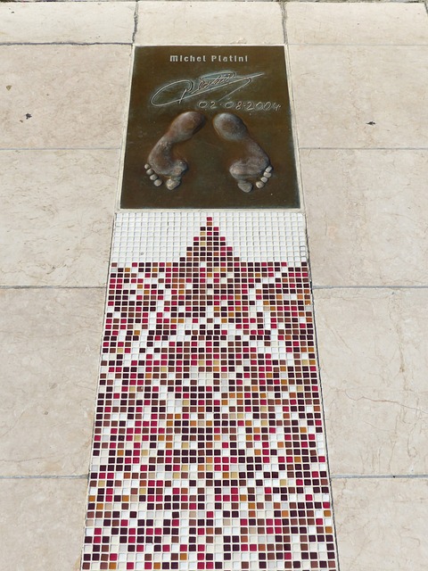 习近平将出 习近平将出