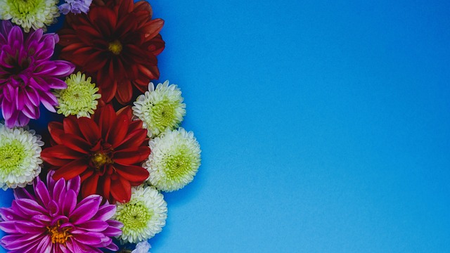 这意味着他 这意味着他