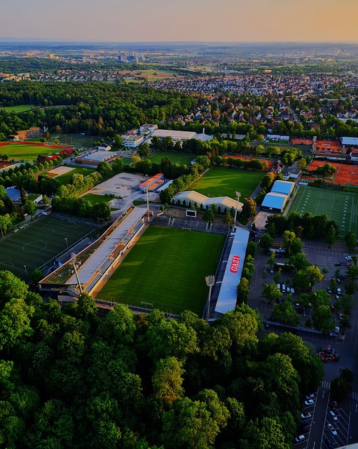 他精准的投 他精准的投