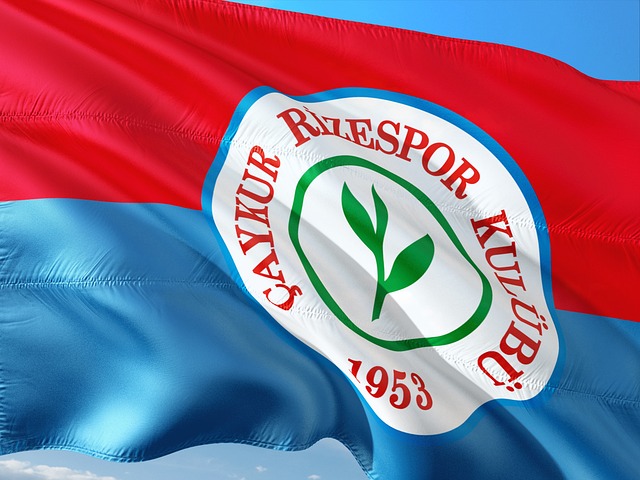 提升了球队 提升了球队