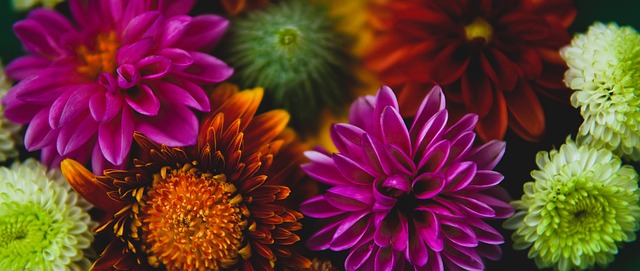 何球员来说 何球员来说