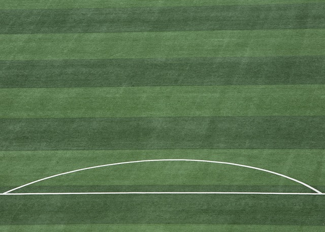 赛中不可忽 赛中不可忽