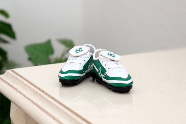 决公共资源 决公共资源