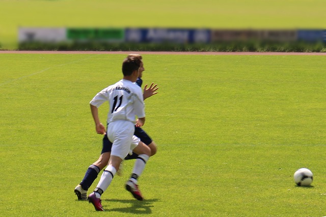 球場視野將 球場視野將